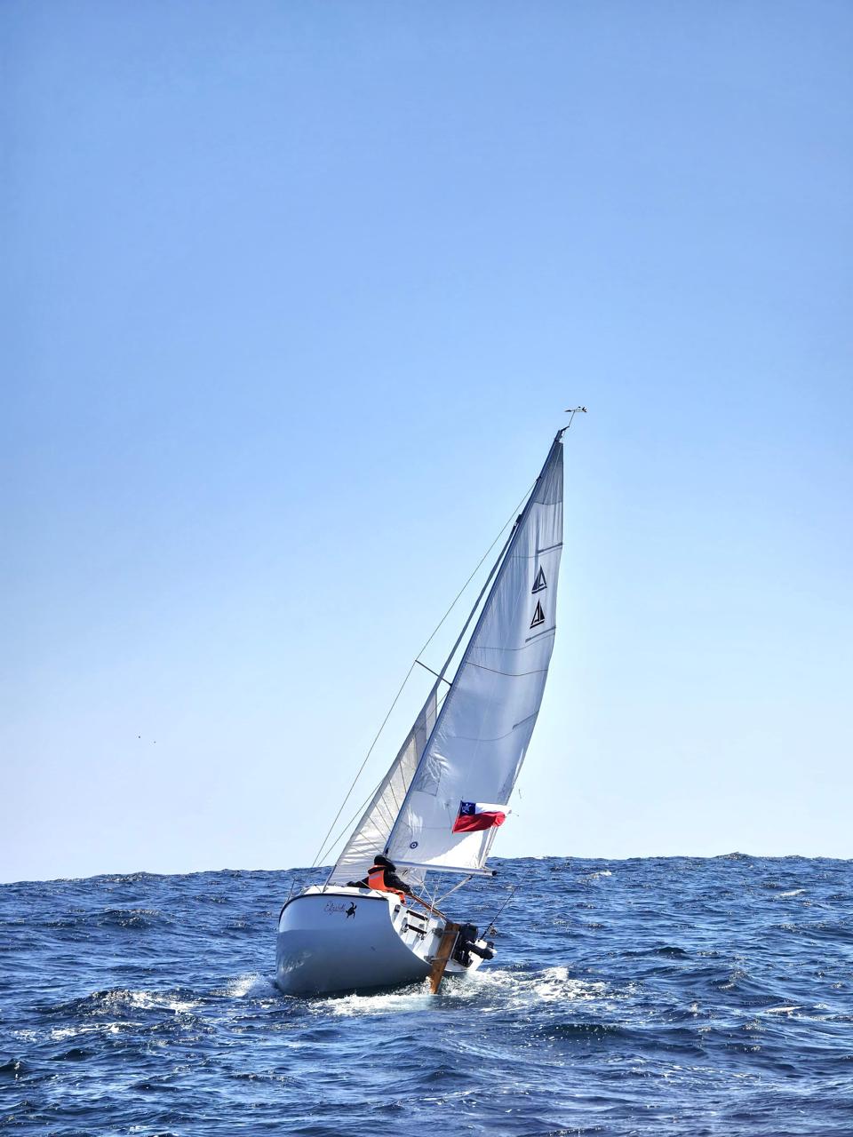 Velero Aventura 20